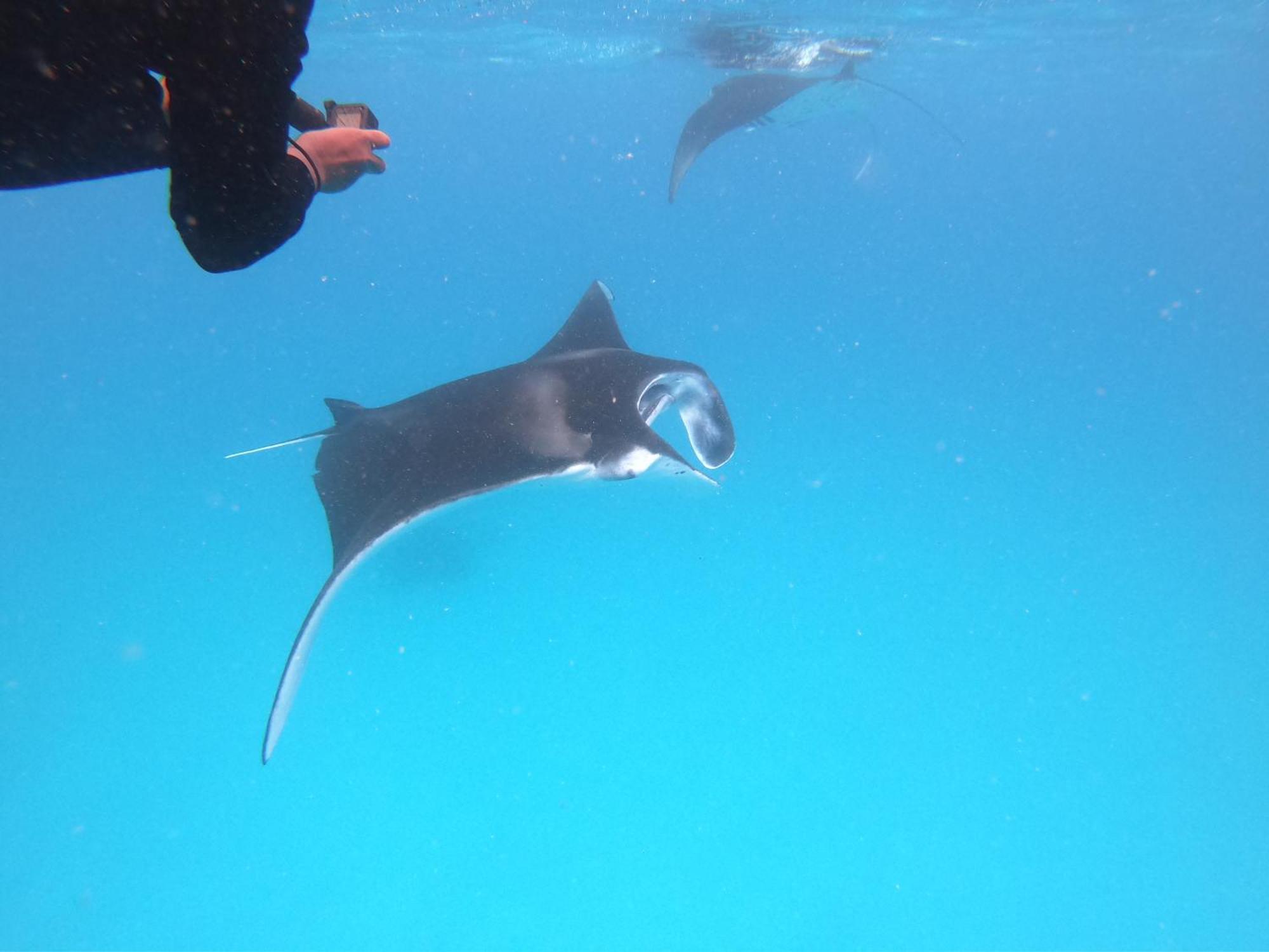 Biosphere Inn Dharavandhoo Zewnętrze zdjęcie