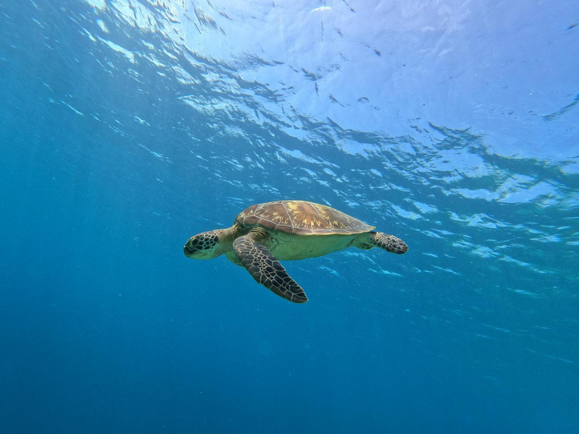 Biosphere Inn Dharavandhoo Zewnętrze zdjęcie