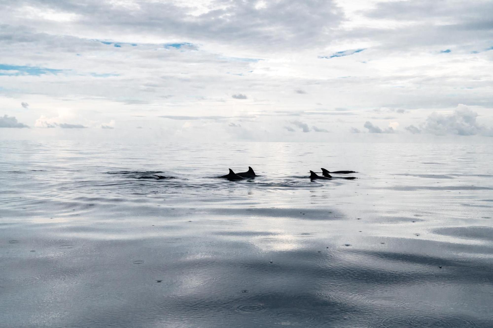 Biosphere Inn Dharavandhoo Zewnętrze zdjęcie