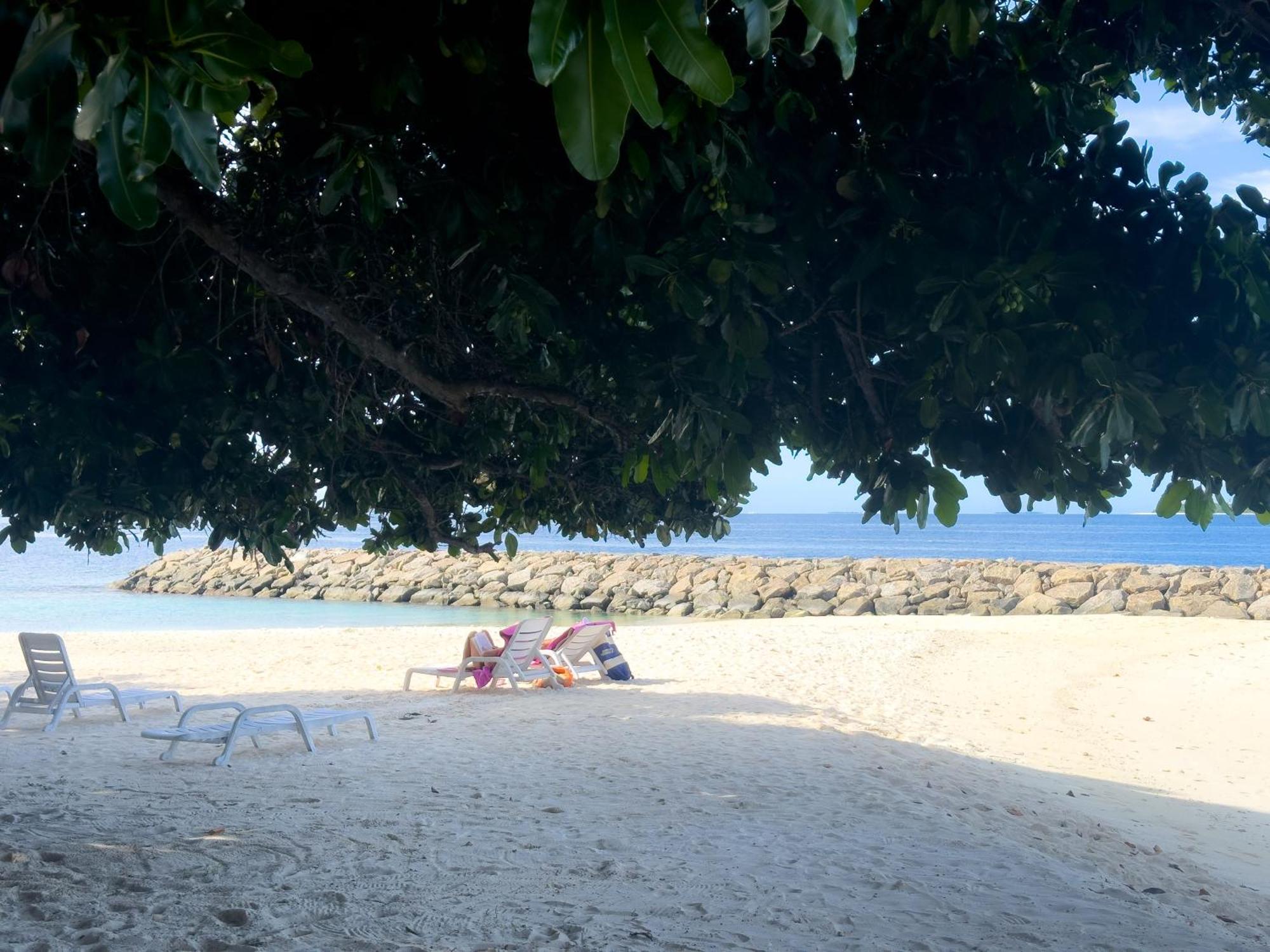 Biosphere Inn Dharavandhoo Zewnętrze zdjęcie